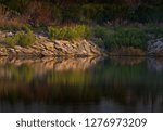 Landscape Water Reflection 
