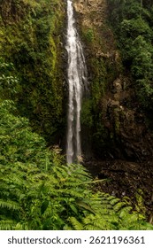 Paisaje de una cascada de agua pura en medio de la montaña rodeada de bosque tropical y selva costarricense