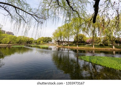 landscape of west lake in hangzhou china