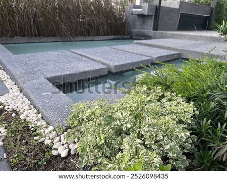 a landscape which conclude with pond steps and plants of a house