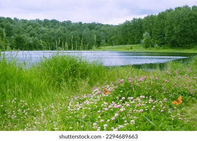 landscape with wildflowers on meadow, river and forest. summer natural background. beautiful harmony peaceful nature image. template for design. copy space - Powered by Shutterstock