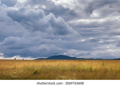 landscape in wind with meadow with tall grass and mountain Klet, Czech republic, cloudy sky - Powered by Shutterstock