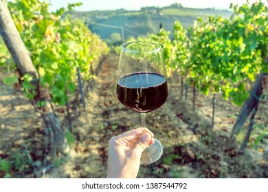 Landscape With Wine In Glass Of Drinker Over Green Valley Of Grapes. Tasting Wine During Harvest.