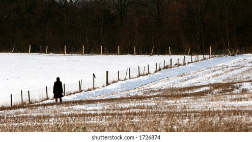 landscape   in  winter