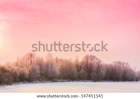 Landscape with a winter forest and sundown