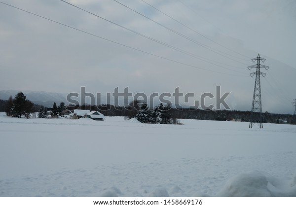 Landscape of winter\
roadside in Hokkaido,\
Japan