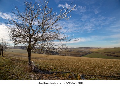 Landscape / Winter Without Snow