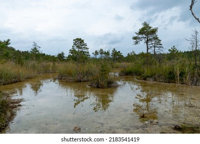 landscape withSulfur Pond, which are water llamas formed on the periphery of a moss bog, they are supplemented and maintained by the inflow of water from hydrogen sulphide sour - Shutterstock ID 2183541419