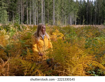 Landscape With A Woman In A Yellow Cloak Standing In The Open Forest Among Autumnal Yellow-brown Ferns.  A Woman On An Autumn Hike Practicing A Healthy Lifestyle.