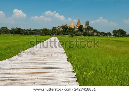 Landscape of wooden Jasmine rice field footpath and wat Tham Sua temple tiger cave Temple at Kanchanaburi Province, Thailand