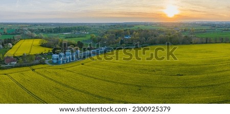 Landscape with a yellow rapeseed field, an agricultural silo and a manor house in the background. Panorama of agricultural factory, yellow green field in the countryside in spring. Wide sunlit field.