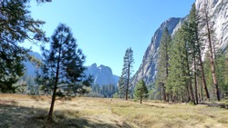 Landscape In Yosemite Valley In Yosemite National Park In California In United States Of America, Striking Rocks Of The Sierra Nevada And Ponderosa Pines, Blue Sky,