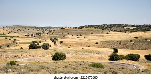 Landscape In Zaragoza Province, Spain