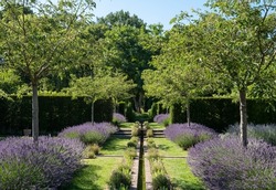 Landscaped Garden With Lavender And Flowing Water At Jardin Domaine De Poulaines In The Loire Valley, France. 