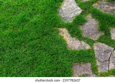 Landscaped Garden Path Made Of Natural Rough Stone Overgrown With Grass On A Summer Green Lawn In The Backyard Meadow The Top Down View With Copy Space, Nobody.