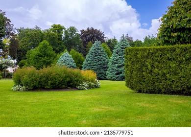 landscaped park with a garden bed and different trees and bushes on a turf lawn, evergreen and seasonal plants in the backyard on overcast weather. - Shutterstock ID 2135779751