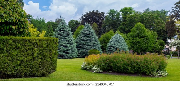 Landscaped Park With A Garden Bed And Different Trees And Bushes On A Turf Lawn, Evergreen And Seasonal Plants In The Backyard On Overcast Weather, Banner On Nature Theme.