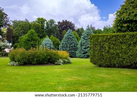 landscaped park with a garden bed and different trees and bushes on a turf lawn, evergreen and seasonal plants in the backyard on overcast weather.