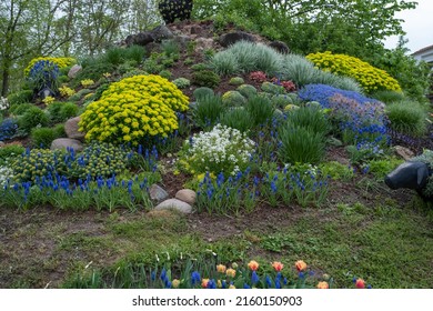 Landscaped summer garden with green plants, rocks, various flowers in flowerbeds