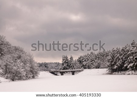 Similar – Foto Bild OH BÄUMEBAUM OH BÄUMEBAUM