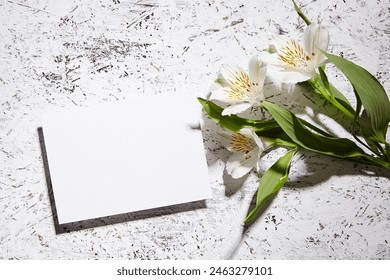 A landscape-oriented blank white card casting a delicate shadow beside an alstroemeria flower on a white splattered backdrop - Powered by Shutterstock