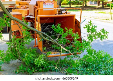 Landscapers using chipper machine to remove and haul chainsaw tree branches