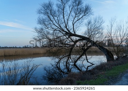 Landscapes along the Oder River in Poland