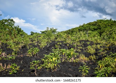 Landscapes And Architecture Of Samoa Archipelago