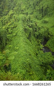 Landscapes And Architecture Of Samoa Archipelago