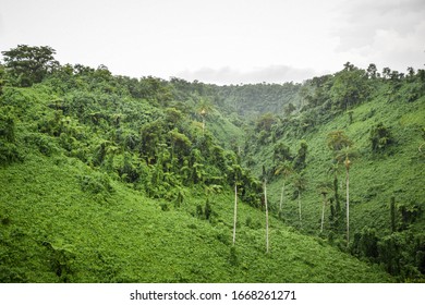 Landscapes And Architecture Of Samoa Archipelago