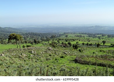 Landscapes In The Bale Mountains Of Ethiopia