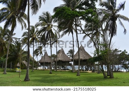 landscapes of the beaches in tayrona park Stock photo © 