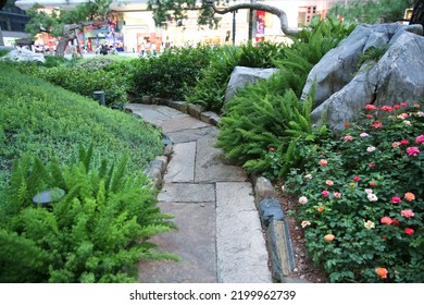 Landscapes Of Chinese Park. Chengdu City. China.