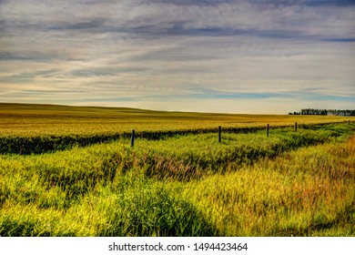 Landscapes Farm Vistas Rural Alberta Countryside Stock Photo 1494423464 ...