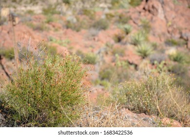 Landscapes And Franklin Mountains In El Paso Texas