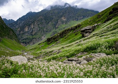 Landscapes of Hampta Pass Trek, Himachal Pradesh, India. - Shutterstock ID 2311925553