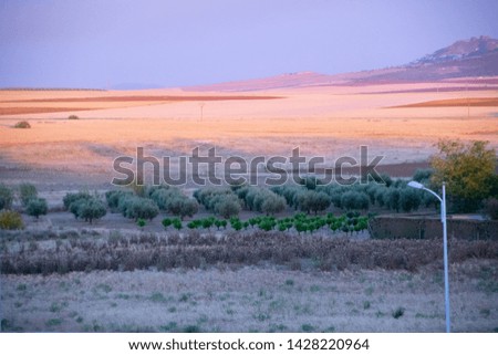 Similar – in Südafrika Naturreservat Teichsee und Busch