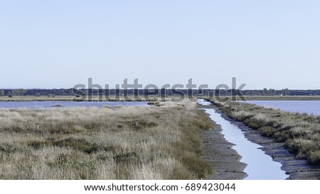 Similar – hooge Landscape