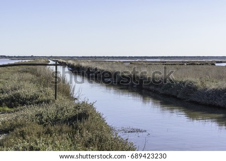 Similar – hooge Landscape