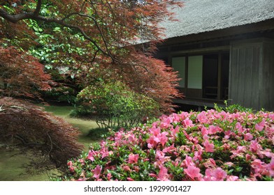 Landscapes In Kairaku En, Japan