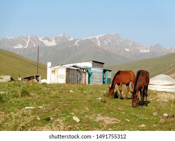                             Landscapes Of Kyrgyzstan. Green Jailoo   