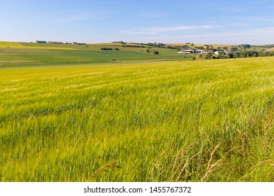 Landscapes Of Lorraine, In The East Of France