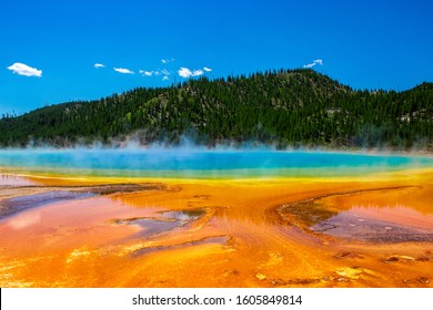 Landscapes of nature and images of wildlife in Wyoming, more specifically in Yellowstone National Park and Grand Teton National Park.