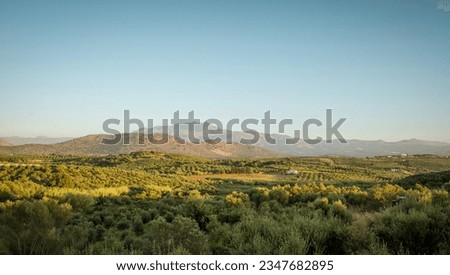 Landscapes of northern Crete. Hilly countryside with olive groves in rays of setting sun. Olive harvest inn rural region of Crete.