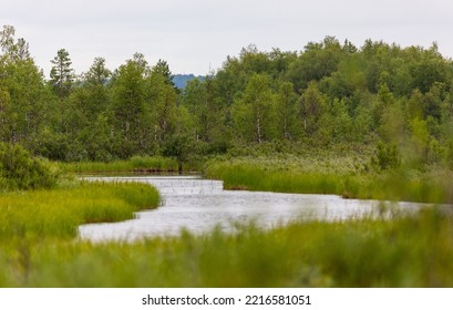 Landscapes Overlooking The River. Kola Peninsula, Arctic Circle, Russia