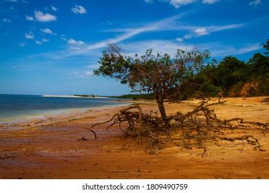 Landscapes Of Tapajós River, Amazon - Brazil