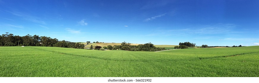 Landscapes Of Tasmania In Australia / Green Meadow Under Blue Sky With Clouds / Green Meadow Under Blue Sky With Clouds