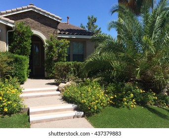 Landscaping Desert Home