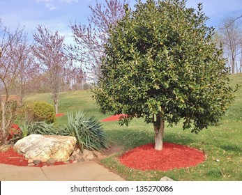 Landscaping Design Background ,and Red Mulch