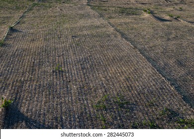 Landscaping Erosion Control Single Net Straw Blanket Installed